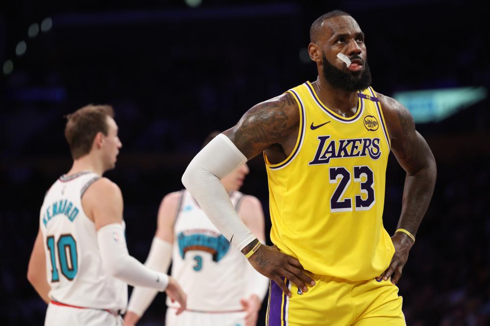 了高质量的 了高质量的